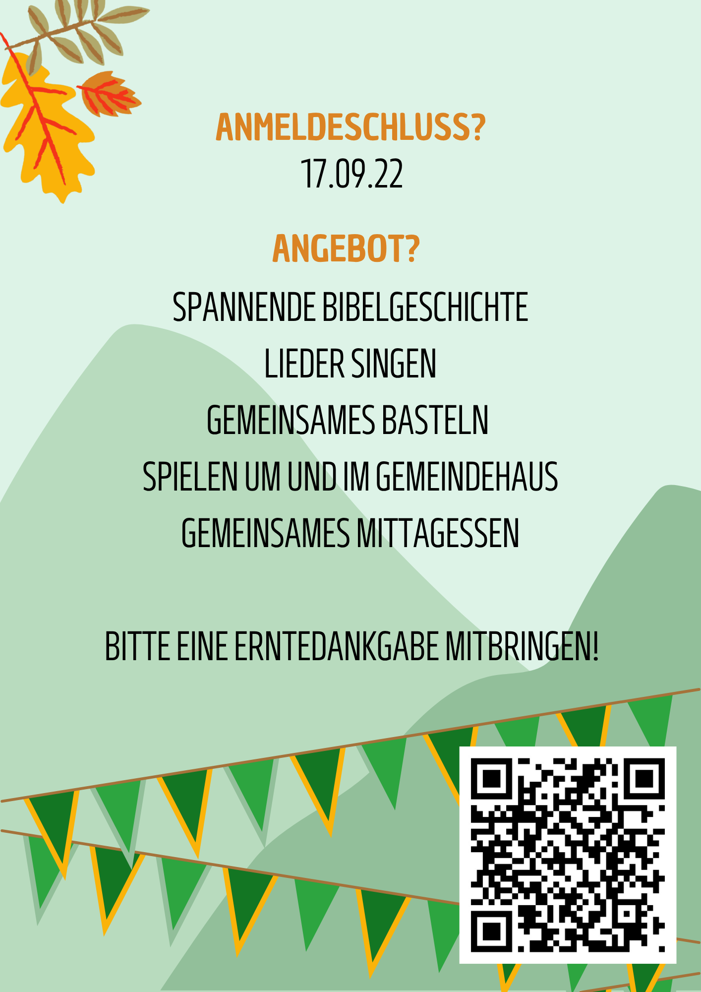 Flyer 5